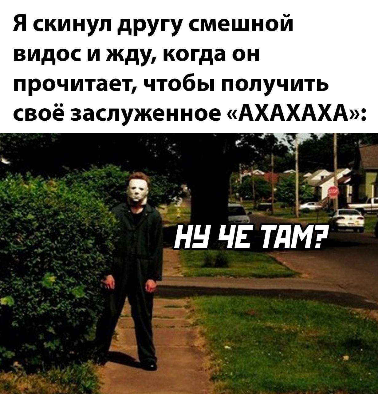 Я скинул другу смешной видос и жду, когда он прочитает, чтобы получить своё заслуженное «АХАХАХА»: TAM?
