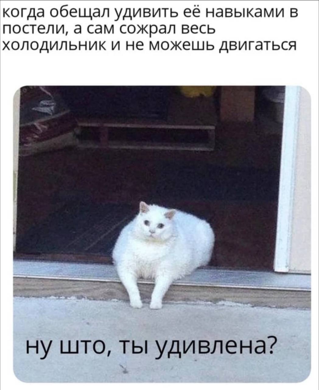 когда обещал удивить её навыками в постели, а сам сожрал весь холодильник и не можешь двигаться ну што, ты удивлена?