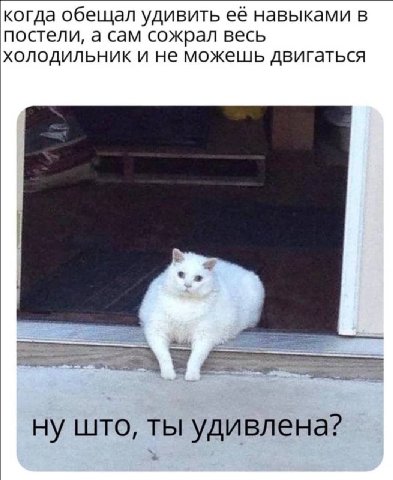 когда обещал удивить её навыками в постели, а сам сожрал весь холодильник и не можешь двигаться ну што, ты удивлена?