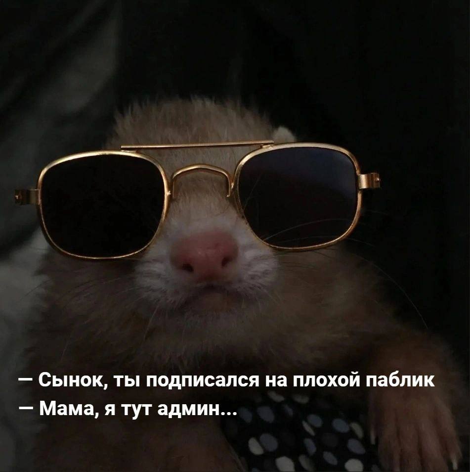 Сынок, ты подписался на плохой паблик Мама, я тут админ...