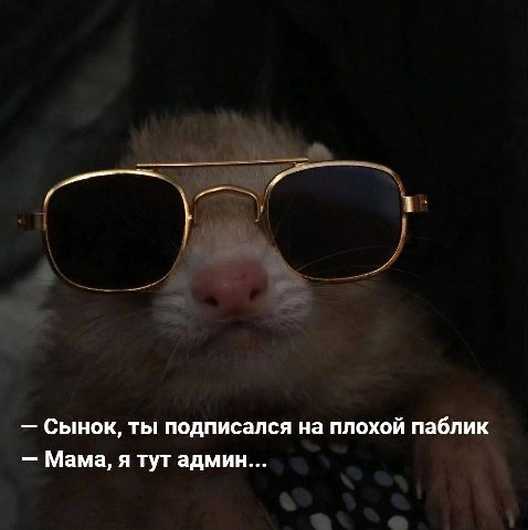 Сынок, ты подписался на плохой паблик Мама, я тут админ...