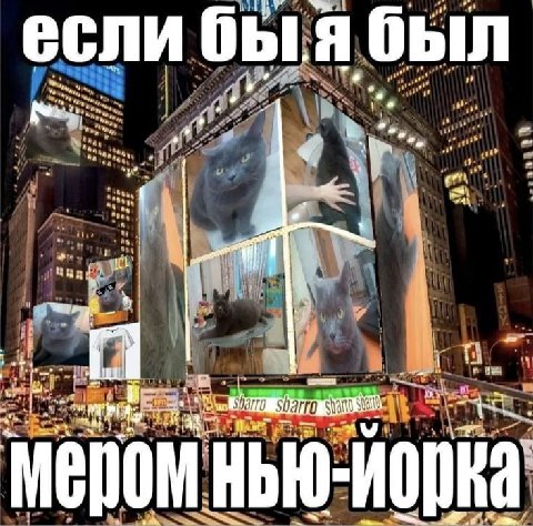 если быя был Pity