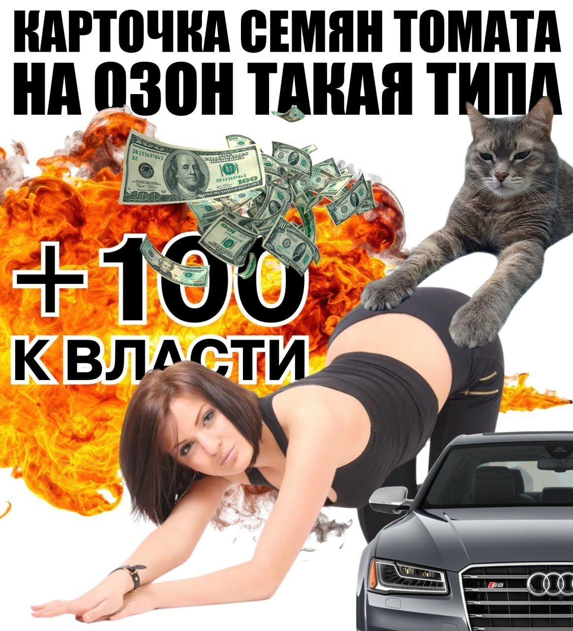 КАРТОЧКА СЕМЯН ТОМАТА ОЗОН KAA OF Apr