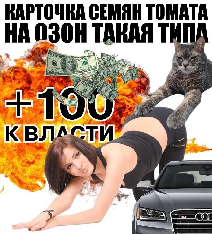 КАРТОЧКА СЕМЯН ТОМАТА ОЗОН KAA OF Apr