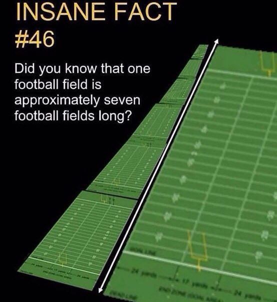 ЗА НАС i Did you know that one football field is approximately seven football fields long?