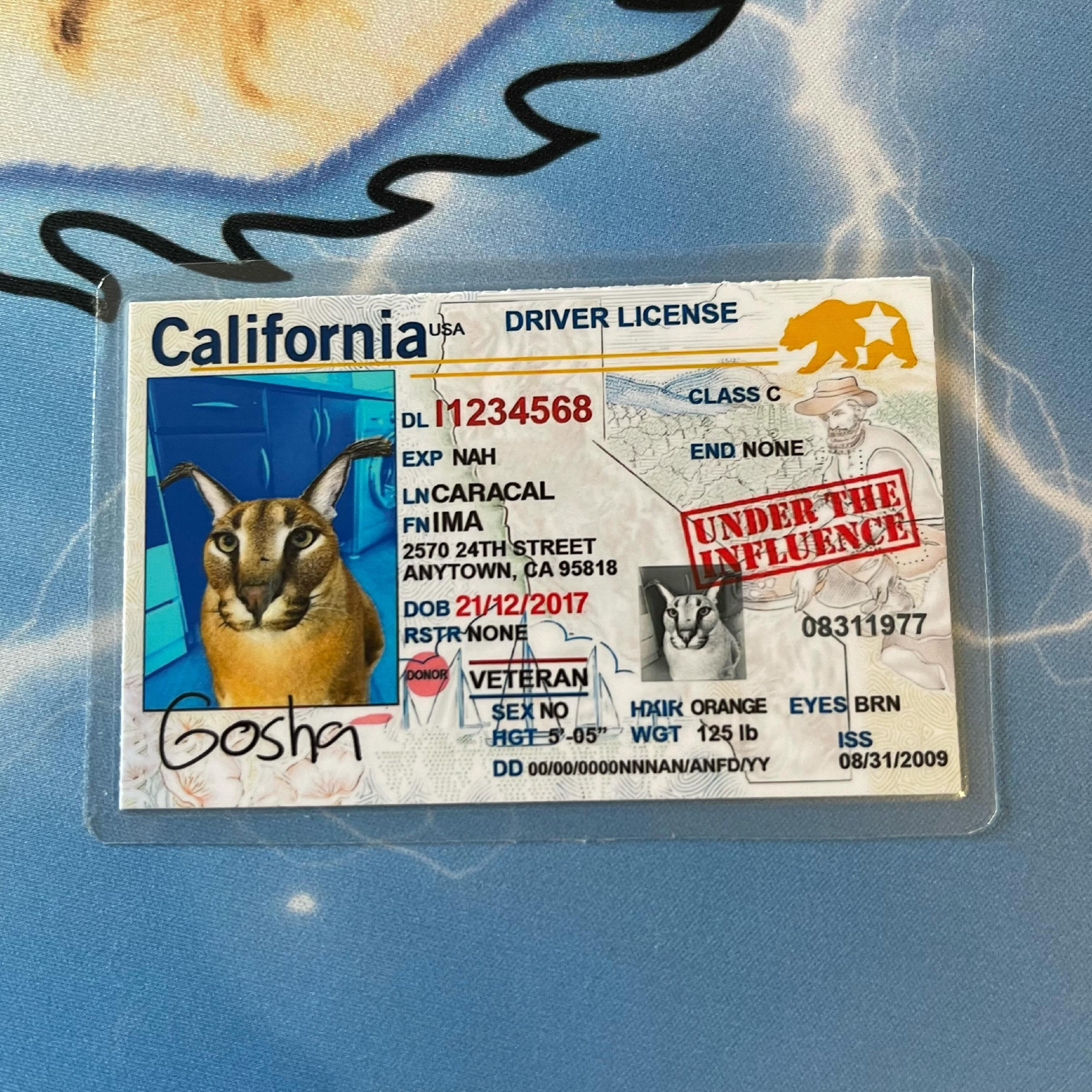 a A 25 RIVER LICENSE Calif LASS 1234568 NON ЕХР МАН a\ 2 FNIMA TREET 2570 95818 ANYTOWN, DOB 017 311977 ON У)“ ame ORANGE EYES BRN 08/31/2009