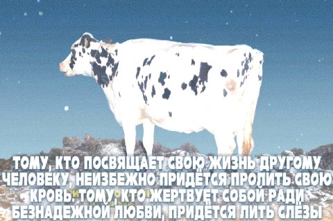 TOMY, КТО