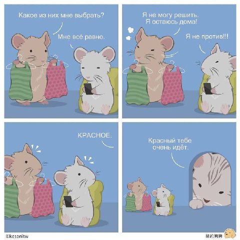 Какое из них мне выбрать? Я не могу решить. Я остаюсь дома! Мне всё равно. Я не против!!! КРАСНОЕ. Красный тебе очень идёт. ©kesanitw