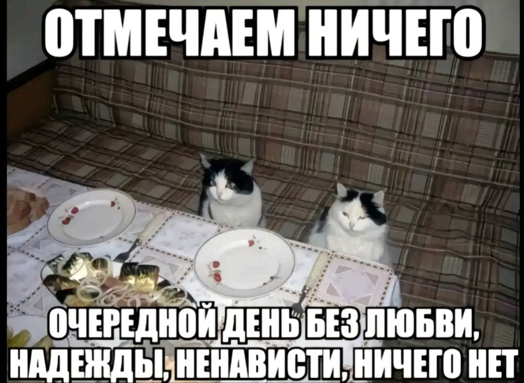 ОТМЕЧАЕМ НИЧЕГО ОЧЕРЕДНОЙ ДЕНЬБЕЗ ЛЮБВИ НЕТ