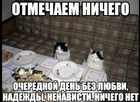 ОТМЕЧАЕМ НИЧЕГО ОЧЕРЕДНОЙ ДЕНЬБЕЗ ЛЮБВИ НЕТ