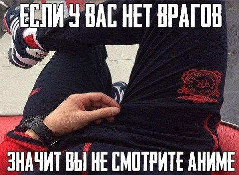 ВАС НЕТ ВРАГОВ ЗНАЧИТ ВЫ HE СМОТРИТЕ АНИМЕ