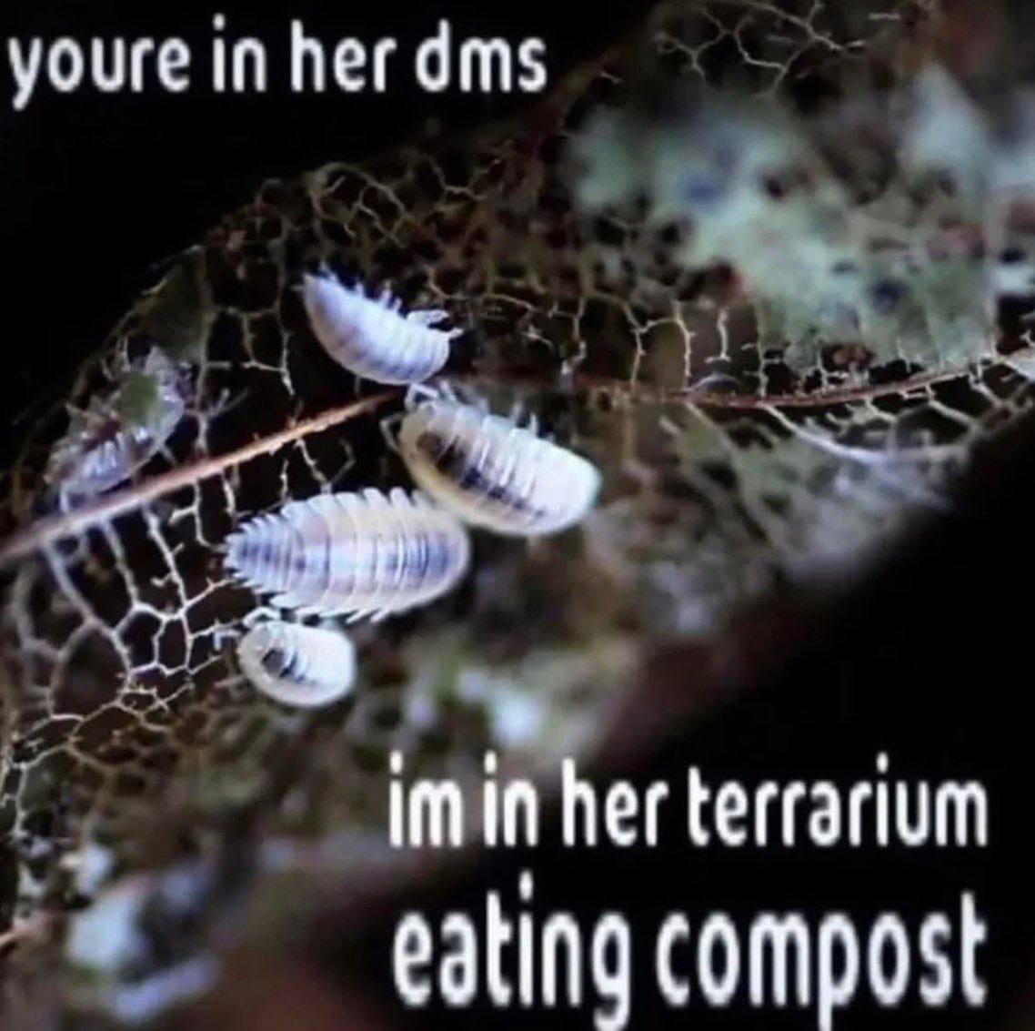 youre in her dms her terrarium compost