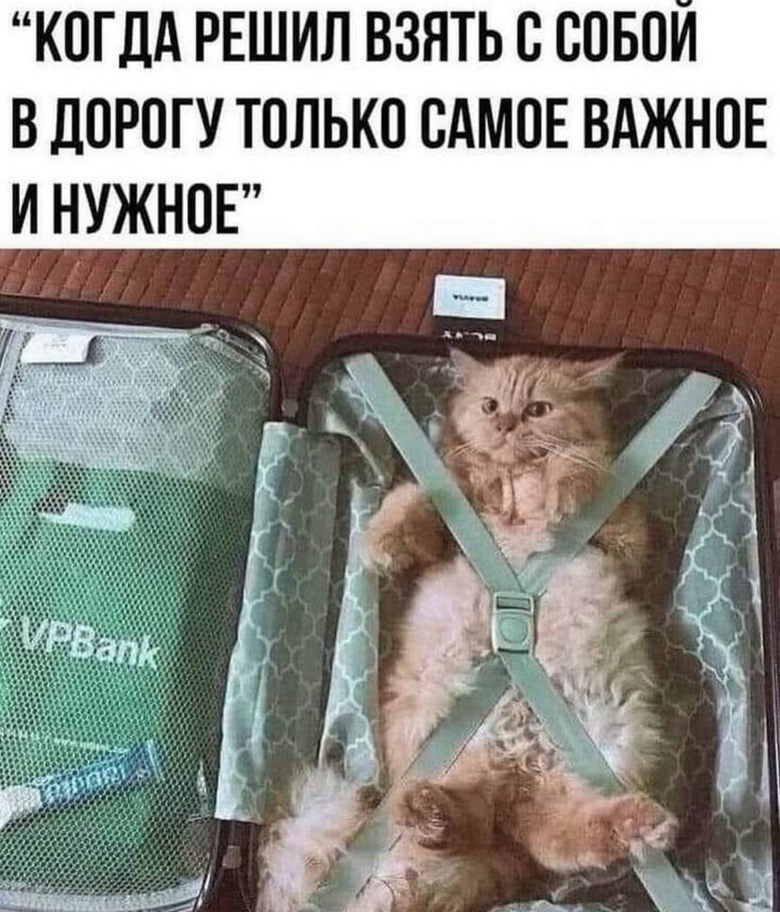 “КОГДА РЕШИЛ ВЗЯТЬ С СОБОЙ В ДОРОГУ ТОЛЬКО САМОЕ ВАЖНОЕ И НУЖНОЕ”