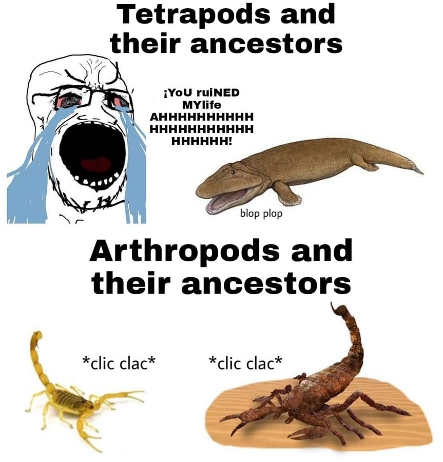 Tetrapods and their ancestors iYou ruiNED if AHHHHHHHHHH HHHHHHHHHHH HHHHHH! blop plop Arthropods and their ancestors *clic clac* clac*