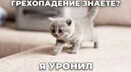 ГРЕХОПАДЕНИЕ ЗНАЕТЕ?