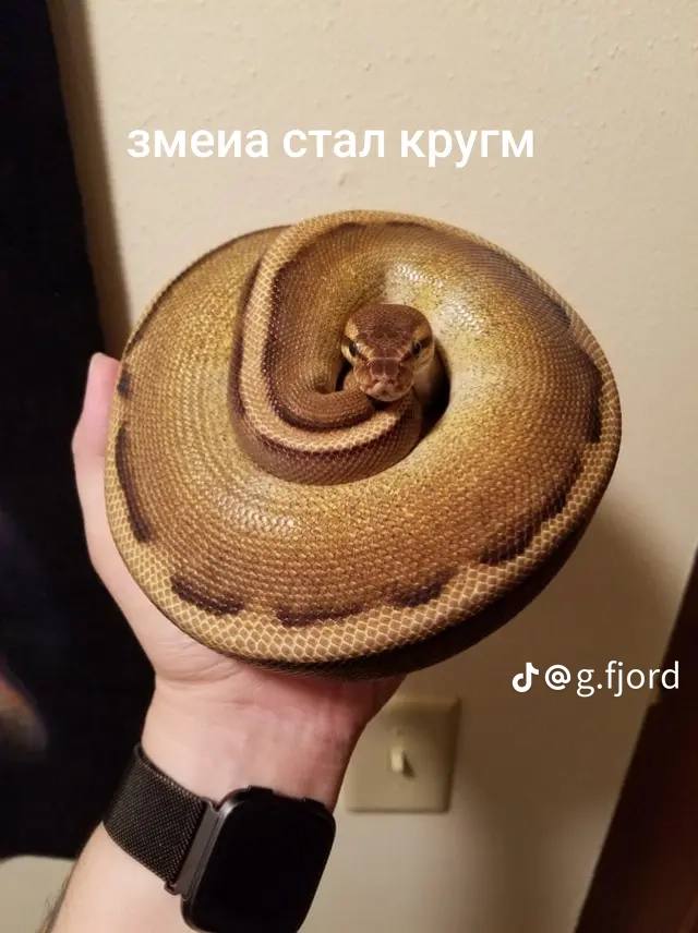 ail a а а a кругм