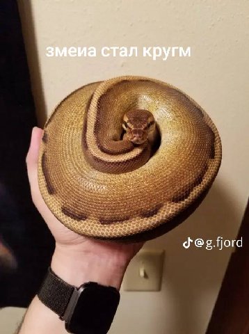 ail a а а a кругм