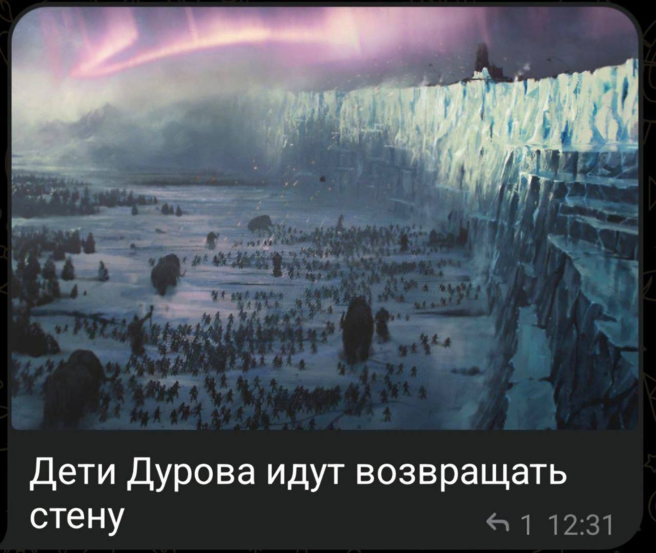 Дети Дурова идут возвращать стену
