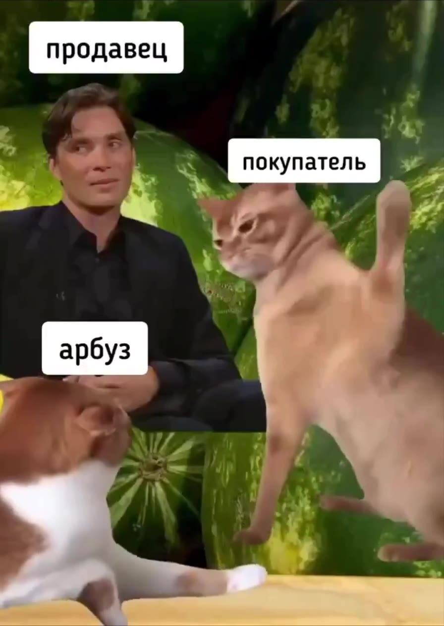 🎼