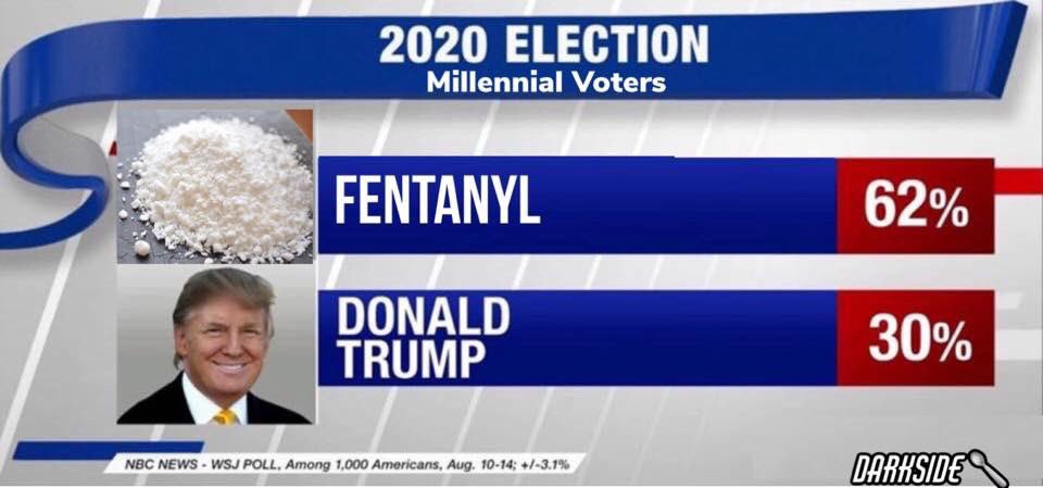 2020 ELECTION Millennial Voters FENTANYL 62% DONALD TRUMP 30% МОС NEWS WSJ POLL. 000 Americans, Aug. 10-14;