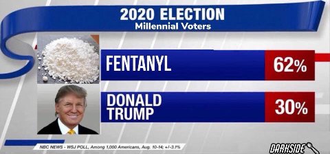 2020 ELECTION Millennial Voters FENTANYL 62% DONALD TRUMP 30% МОС NEWS WSJ POLL. 000 Americans, Aug. 10-14;