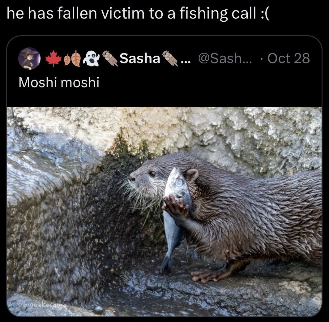 he has fallen victim to a fishing call Sasha Moshi moshi Я