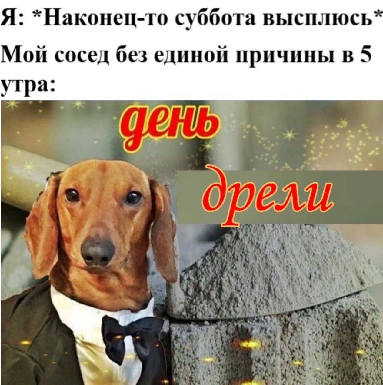 Я: *Наконец-то суббота высплюсь Мой сосед без единой причины в 5 утра: дрели