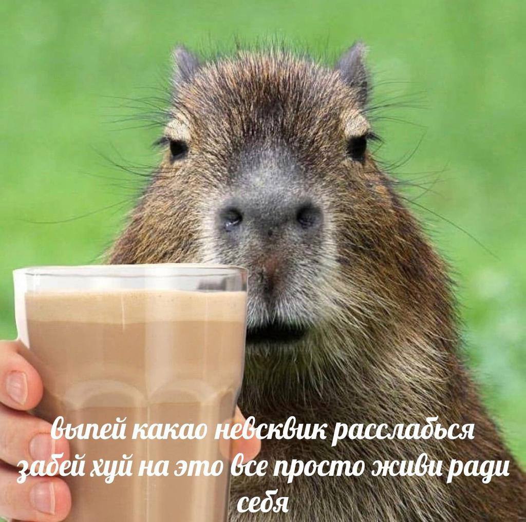 какао небсквик рассладься забей хуй на это все просто живи ради себя