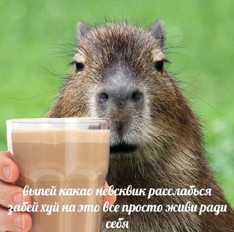 какао небсквик рассладься забей хуй на это все просто живи ради себя