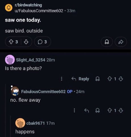 t/birdwatching u/FabulousCommittee602 saw one today. saw bird. outside я A Slight_Ad_3254 Is there a photo? Веру Я FabulousCommittee602 no. flew away Я 919% cbak9671 happens