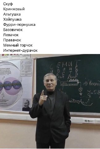 Скуф Кринжовый Альтушка Хайпушка Фурри-порнушка Базовичок Левачок Правачок Мемный торчок Интернет-дурачок ФСТ 7
