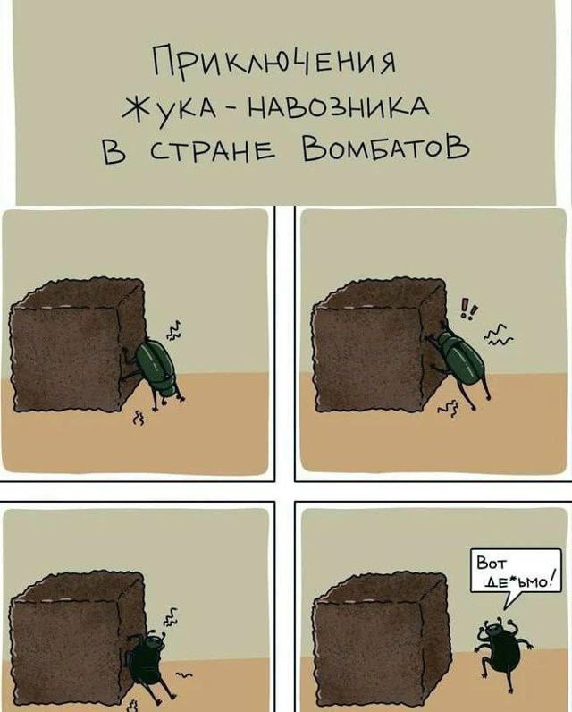 немного ителлектуальногомора
