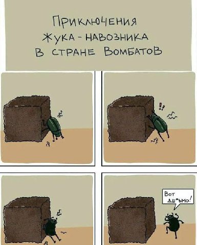 немного ителлектуальногомора