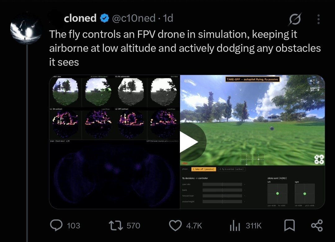 now that's what i call manmade horrors