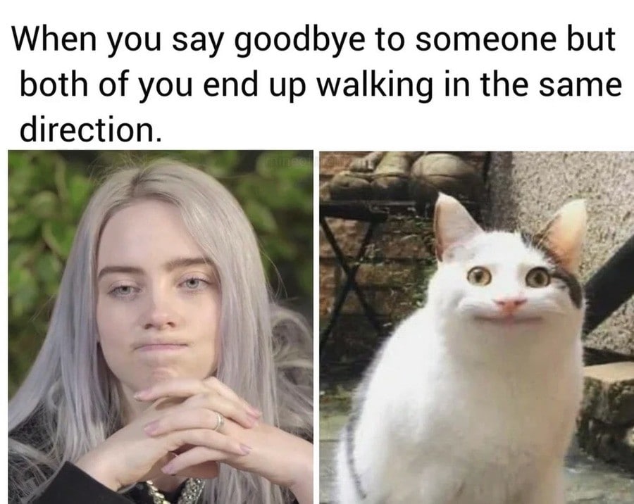When you say goodbye to someone but both of you end up walking in the same direction. a