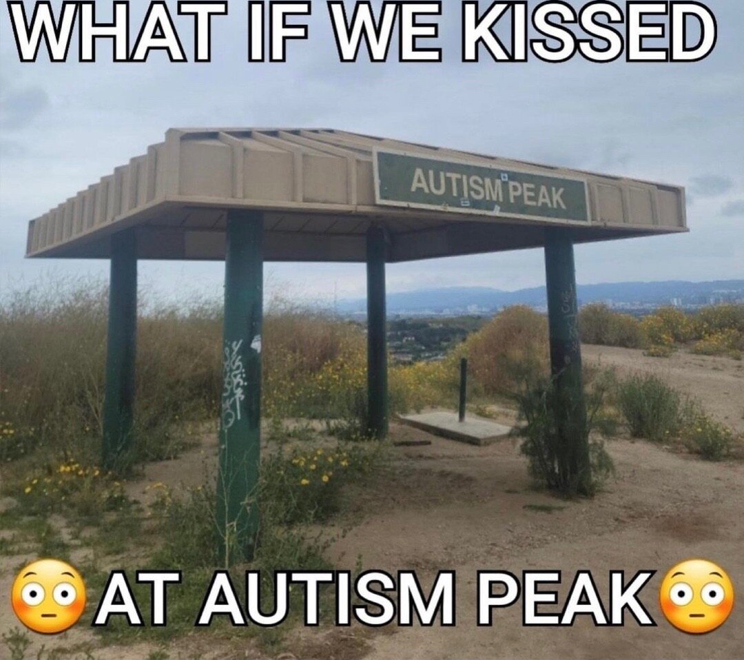 WHAT IF WE KISSED AT AUTISM PEAK