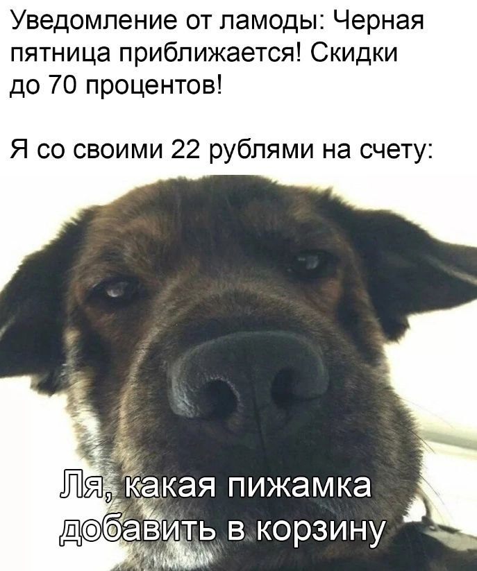 Уведомление от ламоды: Черная пятница приближается! Скидки до 70 процентов! Я своими 22 рублями на счету Sisal, какая пижамка ДО