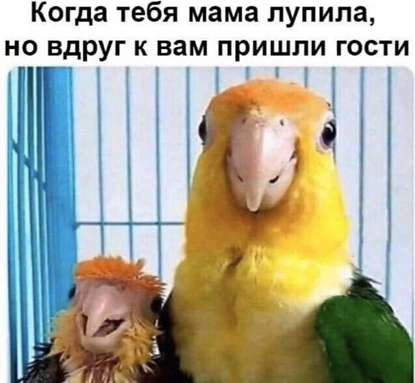 Когда тебя мама лупила, но вдруг к вам пришли гости 4