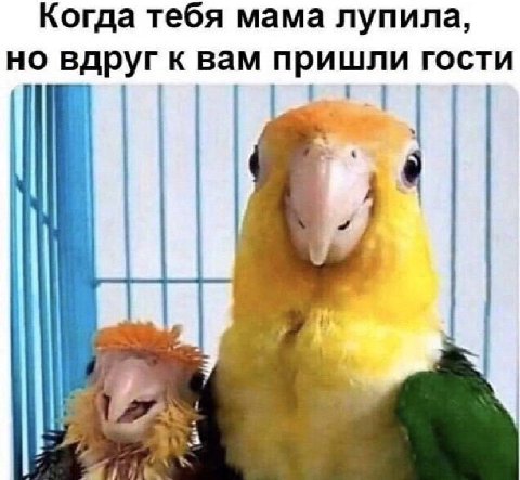 Когда тебя мама лупила, но вдруг к вам пришли гости 4