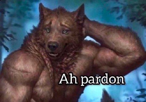 pardon