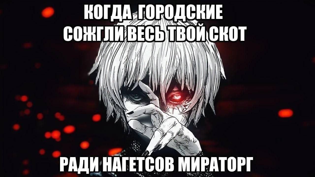 и KOT РАДИ НАГЕТСОВ МИРАТОРГ