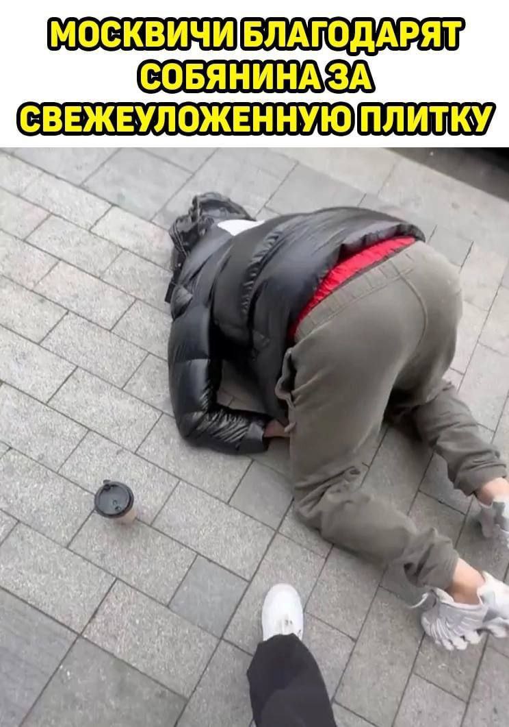 СОБЯНИНАЗА СВЕЖЕУЛОЖЕННУЮ 7 4