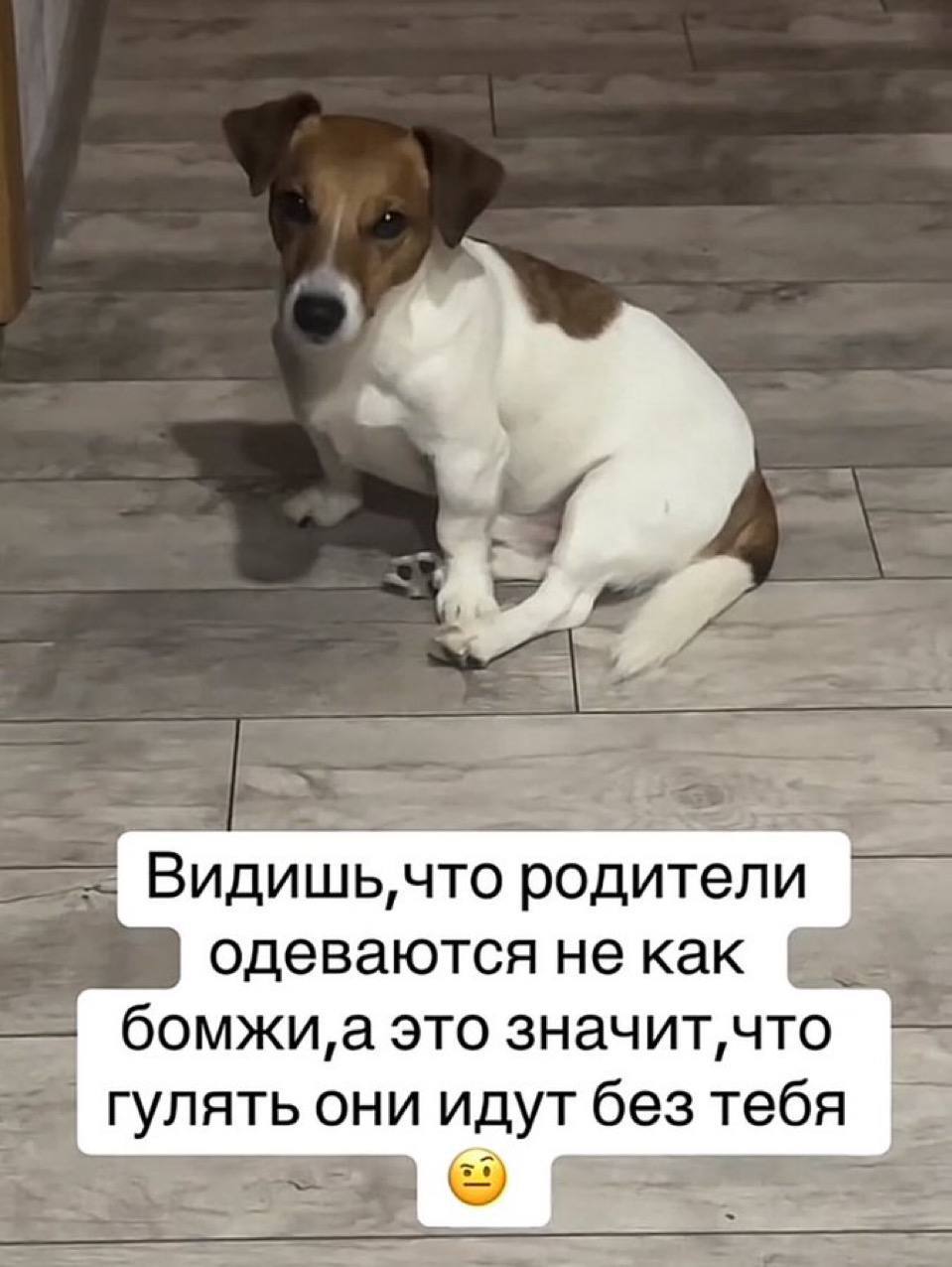 4» родители одеваются не как это значит,что гулять они идут без тебя