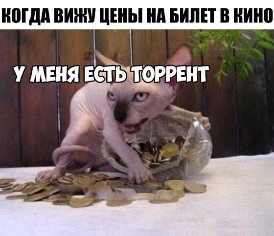 КОГДА ВИЖУ ЦЕНЫ НА БИЛЕТ В КИНО У МЕНЯ ЕСТЬ ТОРРЕНТ 4