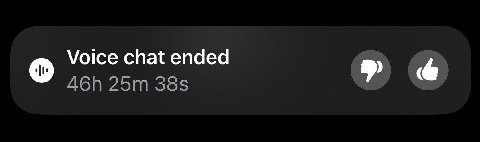 Voice chat ended