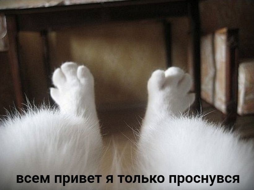 всем при вет только проснувся