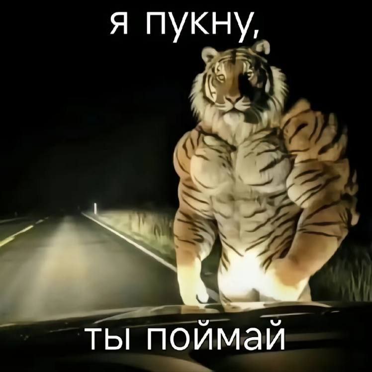 я пукну, ты поймай