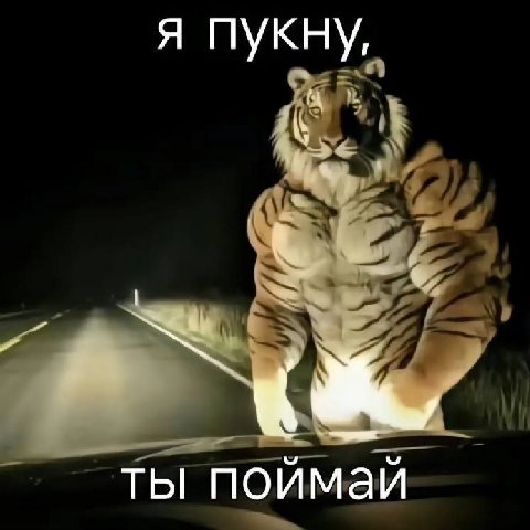 я пукну, ты поймай