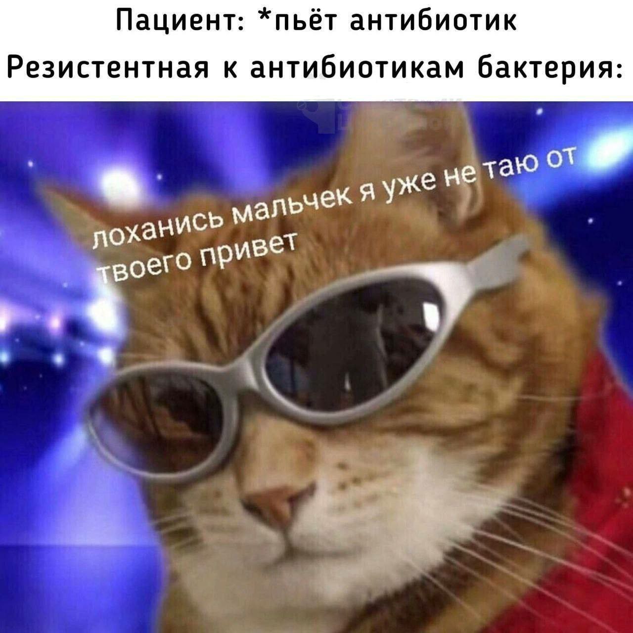 Пациент: *пьёт антибиотик Резистентная к антибиотикам бактерия: таю ханисЪ ивет воего