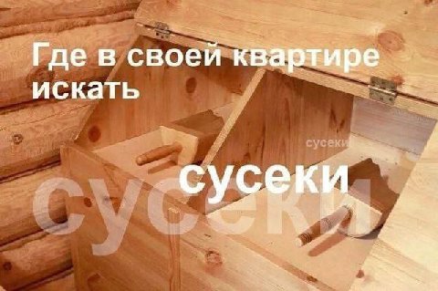я. Где в своей квартире искать сусек